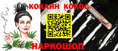 гашик Камышлов