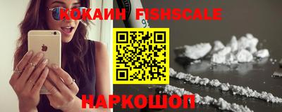 гашик Камышлов