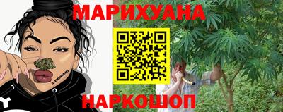 гашик Камышлов