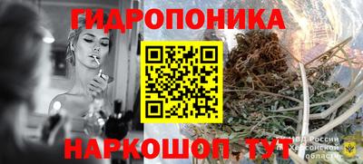 СК Канаш