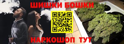 гашик Камышлов