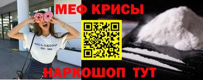гашик Камышлов