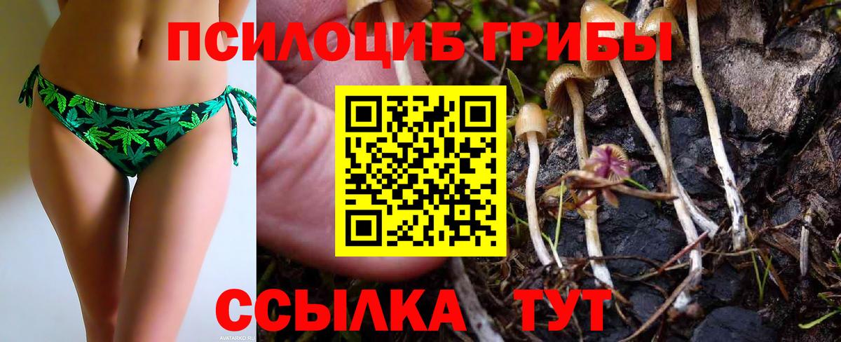 Галлюциногенные грибы Psilocybe  наркота  Красноярск  Вход с VPN  Псилоцибиновые грибы Psilocybine cubensis 